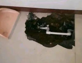 桥东卫生间测漏水多少钱